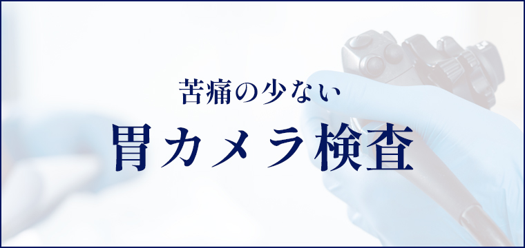 苦痛の少ない胃カメラ検査