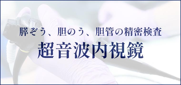 膵ぞう、胆のう、胆管の精密検査 超音波内視鏡