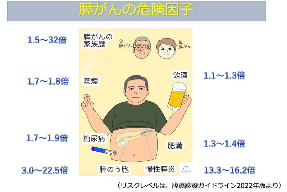 膵がんの危険因子のイラスト図