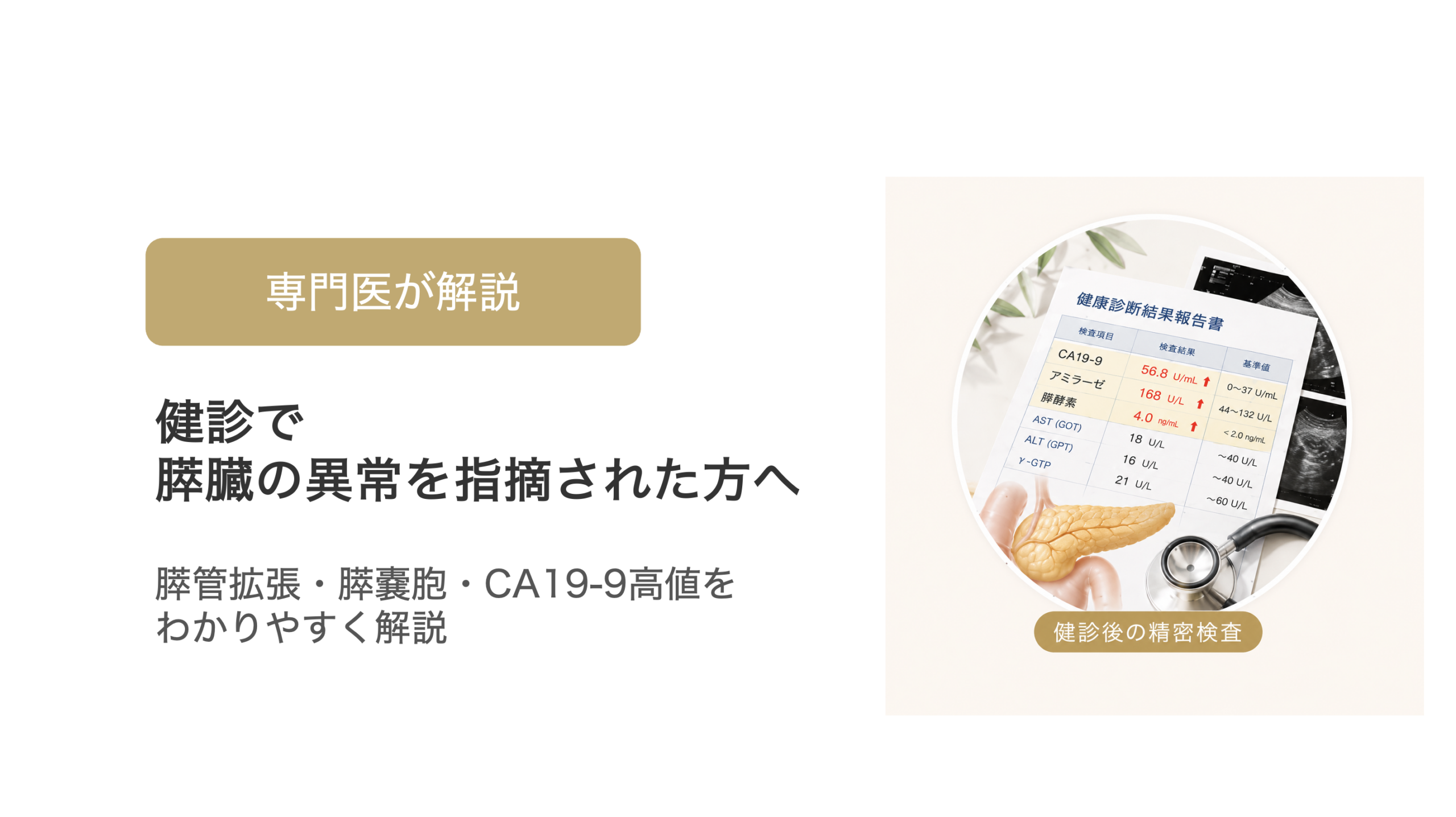 健診で膵臓の異常を指摘された方へ｜膵管拡張・膵嚢胞・CA19-9高値を解説