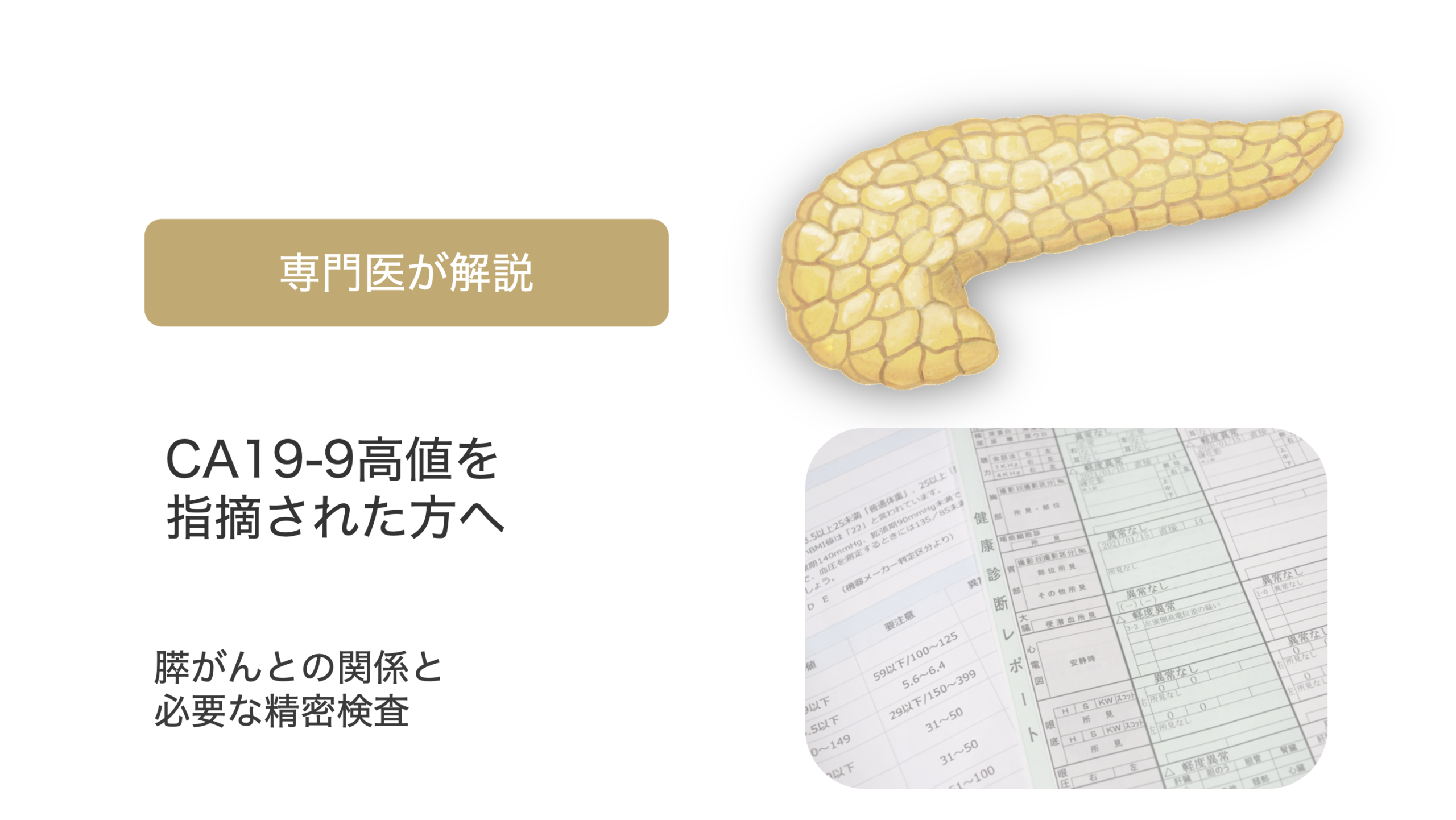 健診でCA19-9高値を指摘された方へ｜膵がんとの関係と必要な精密検査を専門医が解説