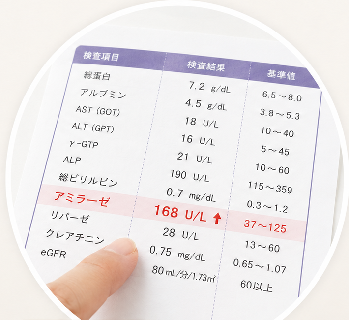健診でアミラーゼ高値を指摘された方へ｜膵臓の病気との関係と必要な精密検査を解説