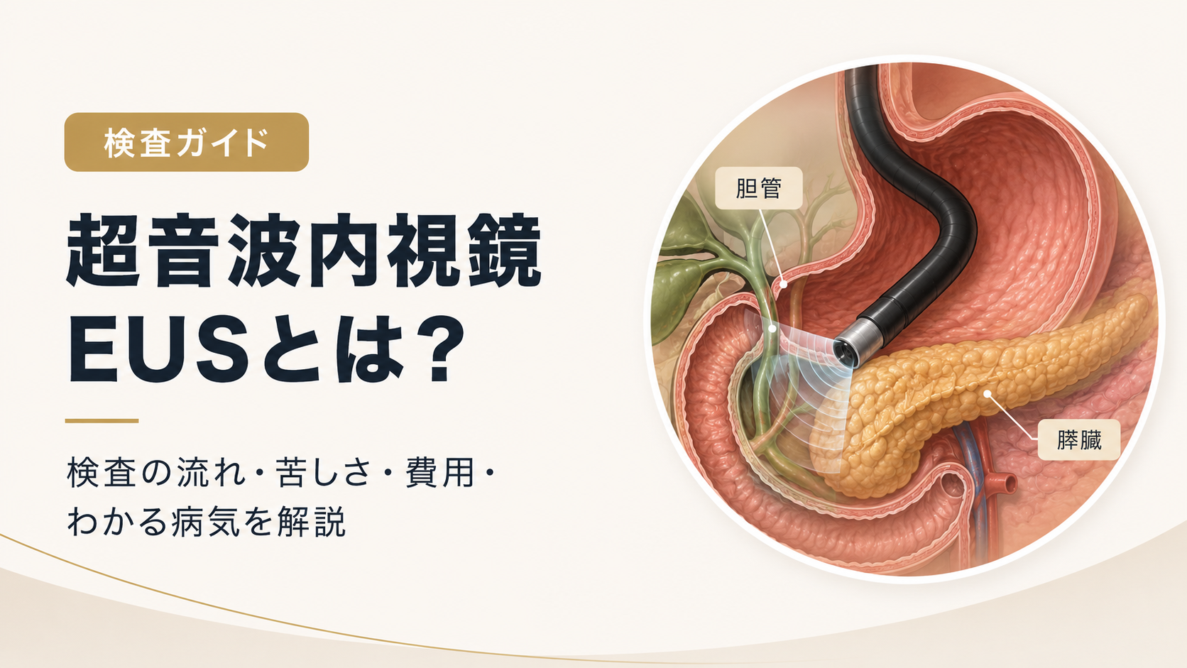 超音波内視鏡（EUS）とは？検査の流れ・苦しさ・費用・わかる病気を専門医が解説